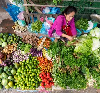 The Morning Market
