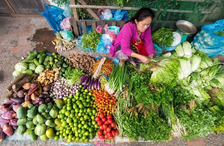 The Morning Market