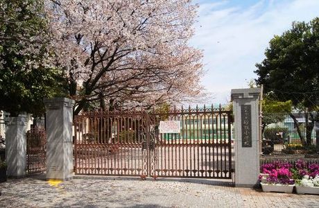 Kumamoto Prefectural Library, Kumamoto Culture and History Museum