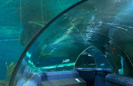National Aquarium of New Zealand