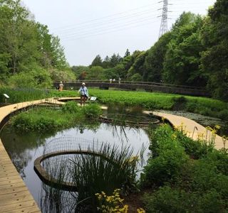 Tsukuba Botanical Garden
