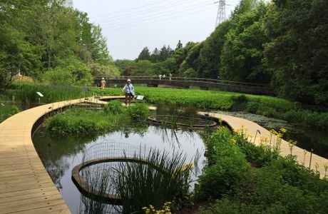 Tsukuba Botanical Garden