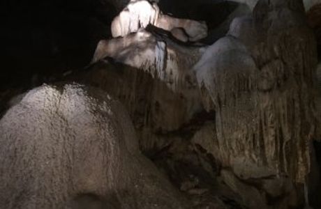 Cutta Cutta Caves Nature Park