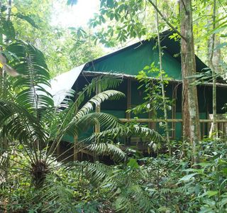 Daintree Discovery Centre