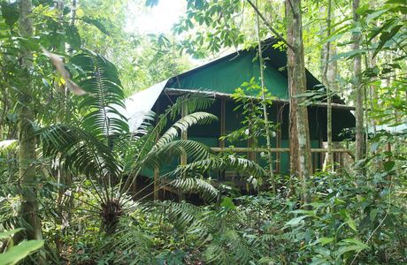 Daintree Discovery Centre