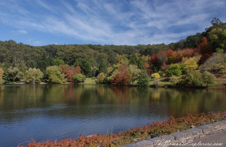 Mount Lofty Botanic Garden