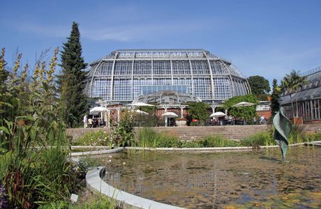 Botanic Garden (Botanischer Garten)