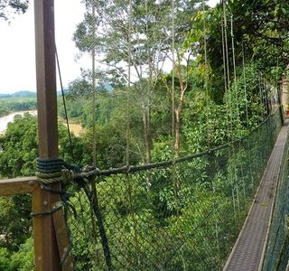 Taman Negara National Park