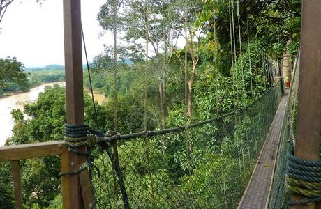 Taman Negara National Park