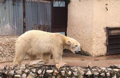 Palic Zoo