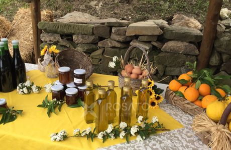 Agriturismo Primaluce - Fattoria Didattica e Tour