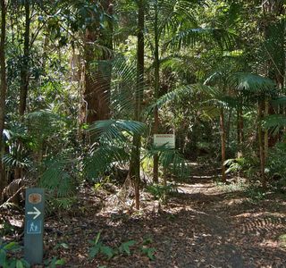 Goonoowigal State Conservation Area