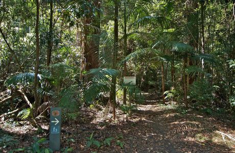 Goonoowigal State Conservation Area