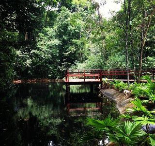 Jardim botânico