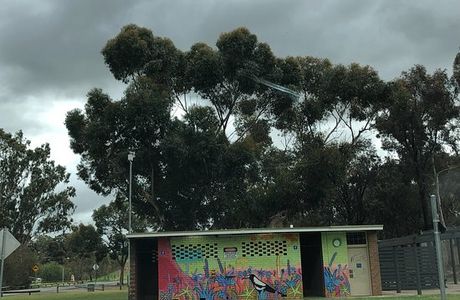 Gawler Skate Park