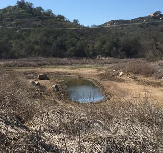 Daley Ranch