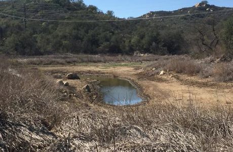 Daley Ranch