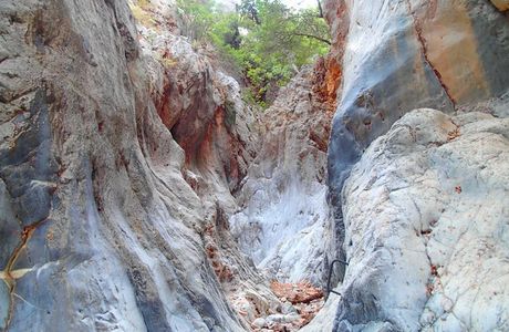 Kritsa Gorge