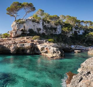 Mallorcaria