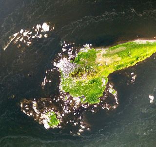 Karaulny Island