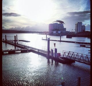 Cardiff Bay Wetland Reserve