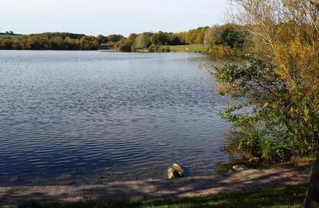 Cosmeston Lakes Country Park