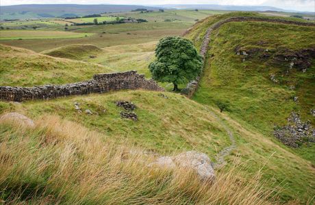 Sycamore Gap