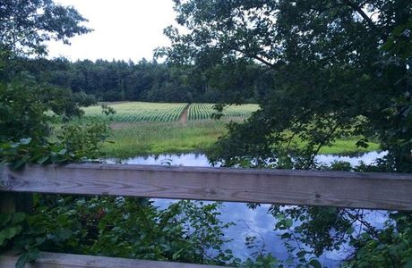 Nashua River Rail Trail