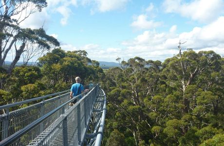 Walpole-Nornalup National Park