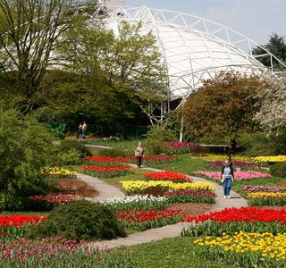 Botanischer Garten Grugapark