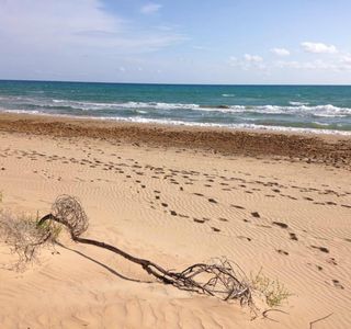 Spiaggia di Santa Maria del Focallo
