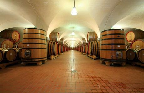 Cantina Ceccobao