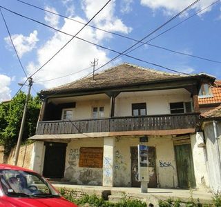 Beli medved
