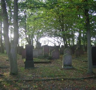 Friedhof am Hoernli