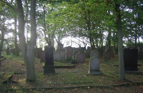 Friedhof am Hoernli