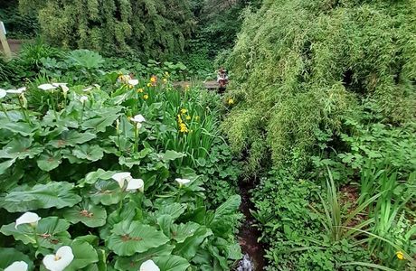 Eastcliff (Mules) Park