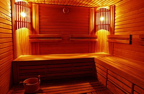 Sauna Oven
