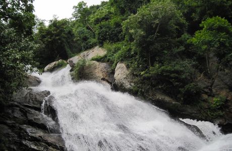 Monkey Falls