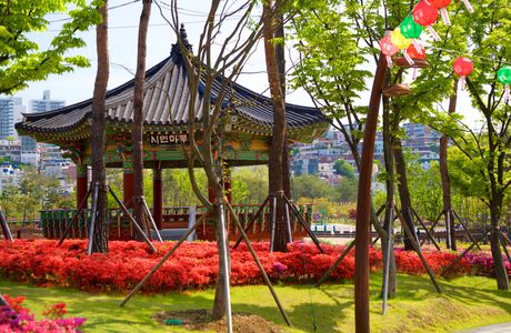Busan Citizens Park