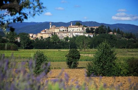 Ippodromo (di Montecatini)