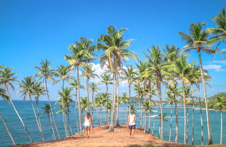 Jayasri Travels & Tours