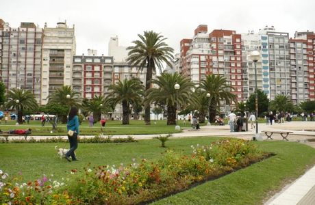 Plaza Colon