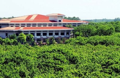 Liuyong Homestead