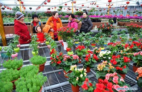 Agricultural Expo Garden