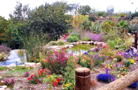 Botanical Garden Of Eilat