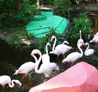 Langkawi Wildlife Park