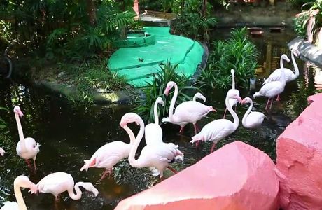 Langkawi Wildlife Park