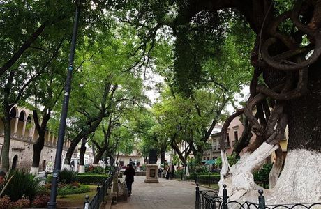Jardin de las Rosas