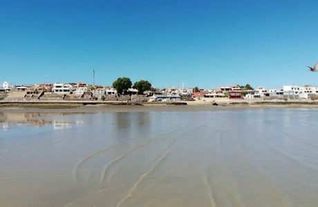 Cholla Bay