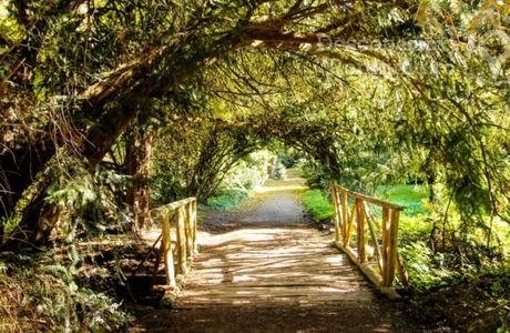 Parc Dendrologic